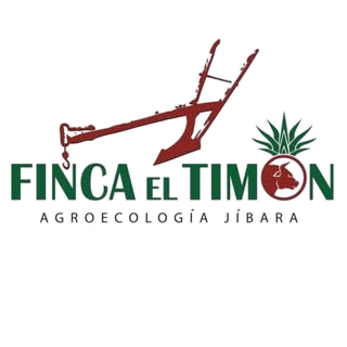 195414206 102618688662969 7562953601270289577 n removebg preview