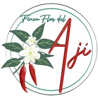 233733521 561187308491918 5106475059639215188 n removebg preview