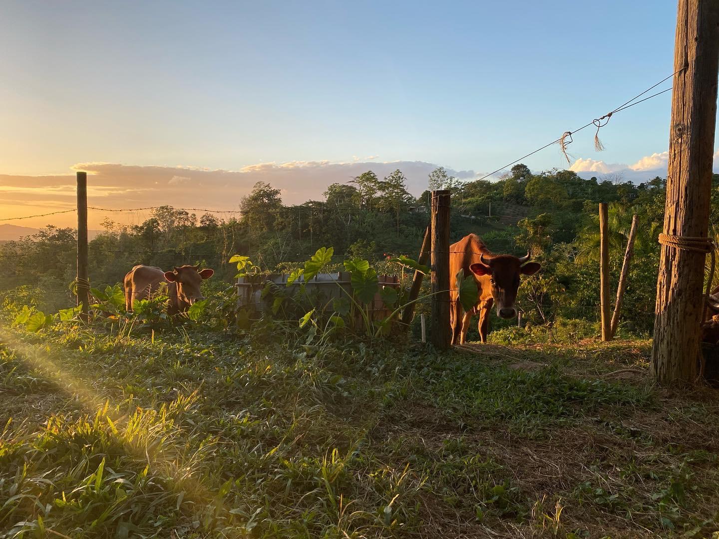 9e777f45 fcca 429c 8116 83a6f6cb12bb