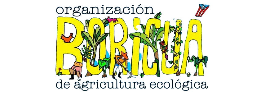 logo boricua fixed removebg preview